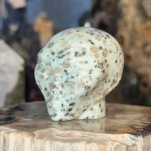 🔥SALE🔥 Kiwi Jasper Crystal Alien Skull Carving!